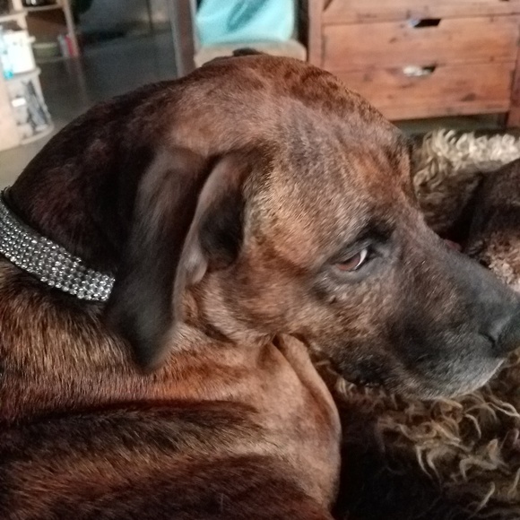 Meet your Posher, Lynn - Picture 1 of 1